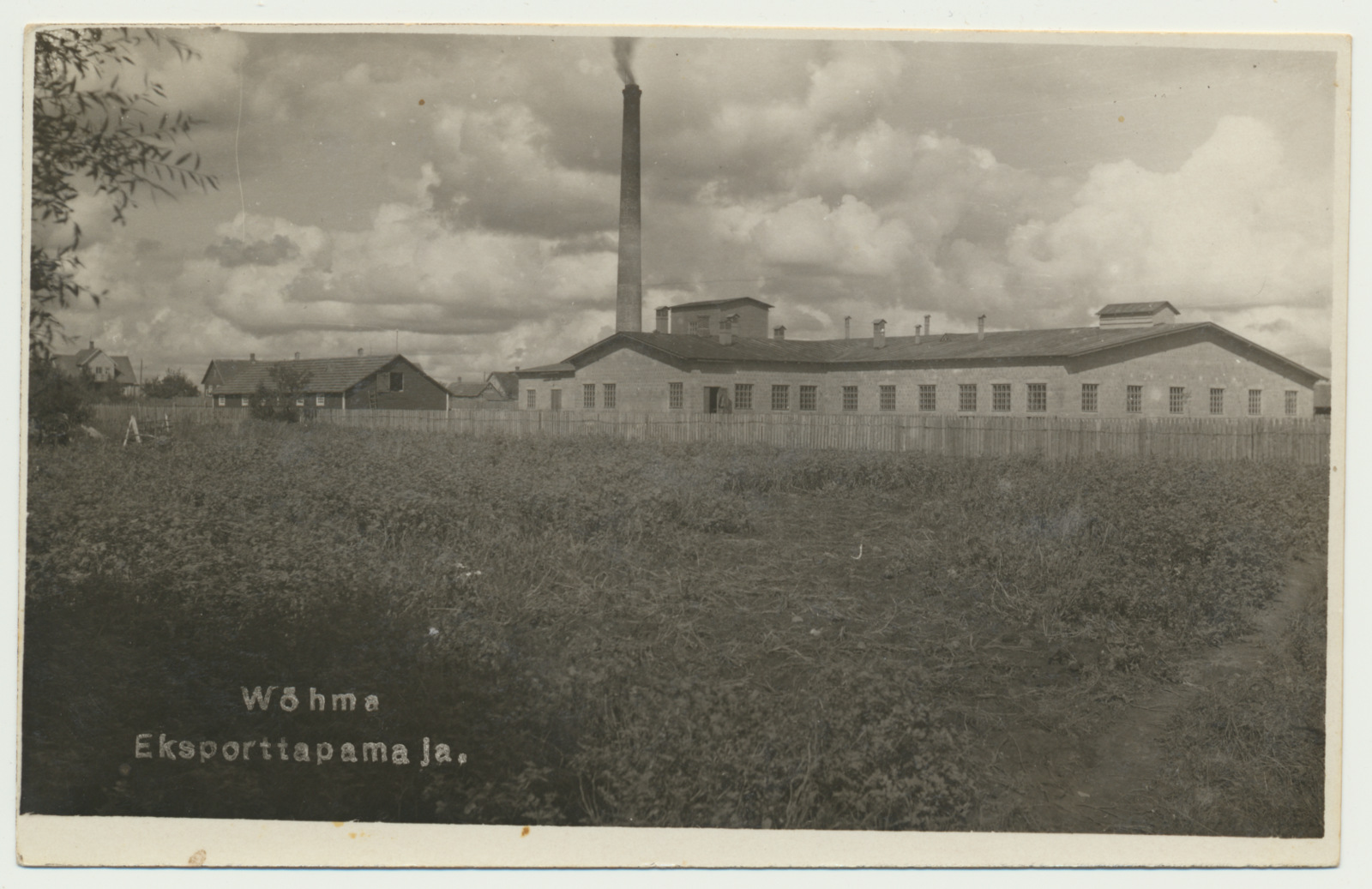 foto, Viljandimaa, Võhma, vana eksporttapamaja, u 1925, foto A. Must