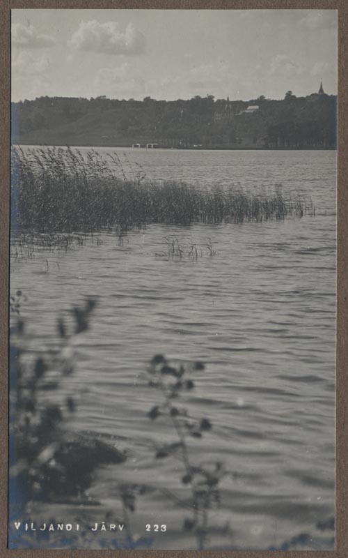 foto albumis, Viljandi, järv, lossimäed, linn, u 1910, foto J. Riet