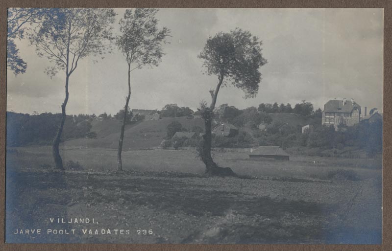 foto albumis, Viljandi, järveäärne heinamaa, lossimäed, Rosenbergi maja, u 1920, foto J. Riet
