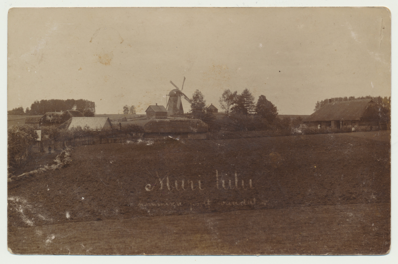 foto Muri talu hooned, tuuleveski Paistu khk Holstre vald u 1915