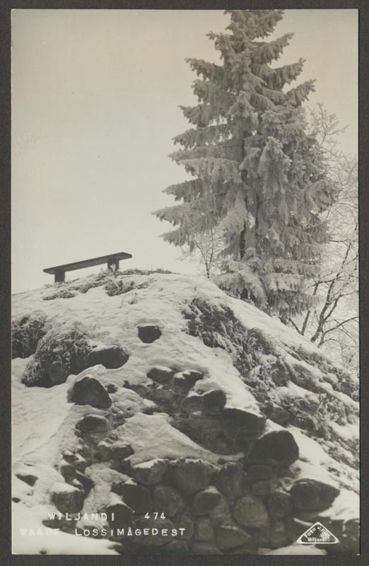 foto albumis, Viljandi, lossimäed, II Kirsimäe (?) nurk, talv, u 1930, foto J. Riet
