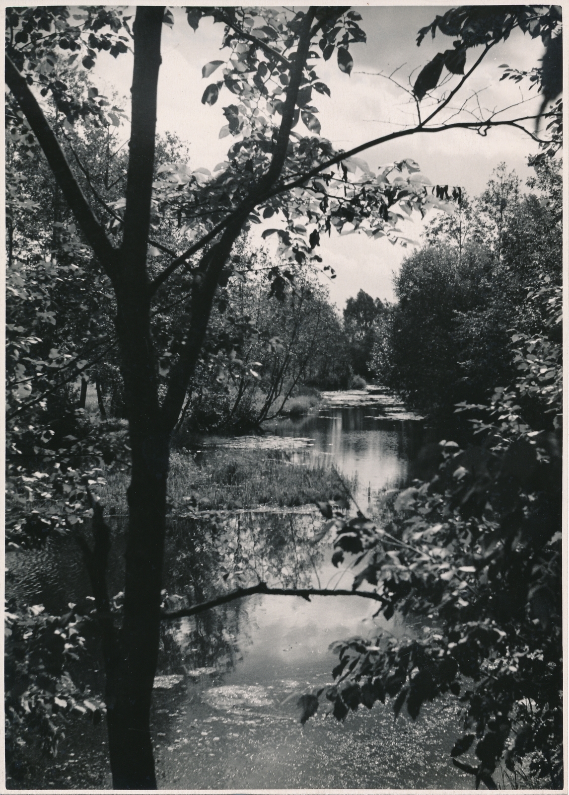 foto, Viljandi, Uueveski oja, u 1960, foto A. Kiisla