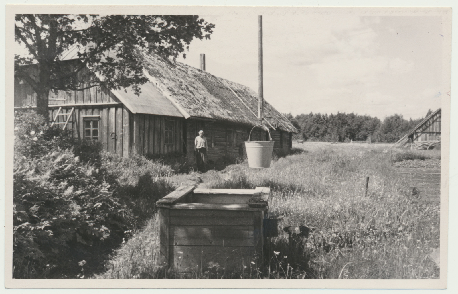 foto, Viljandimaa, Tääksi küla, Niidu talu elamu, 1960, foto L. Vellema