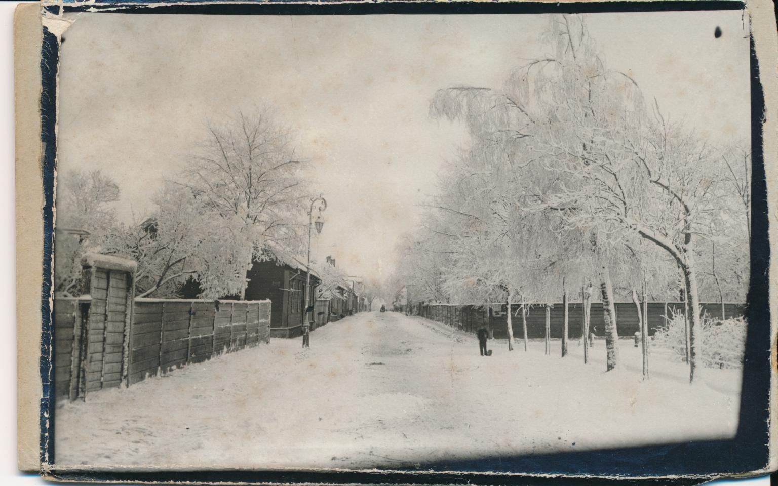foto, Viljandi, Jakobsoni tn u 1905, peegelpildis