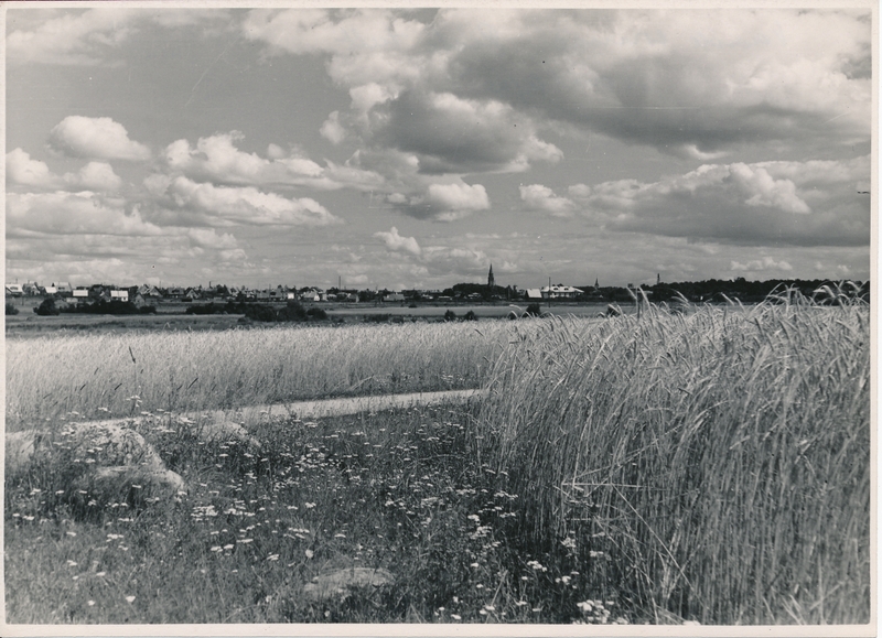 foto, vaade Viljandile Metsküla (Riste) teelt üle Paalalinna, u 1960. Esiplaanil viljapõld, eemal raudteetamm, paremal hele kortermaja Vene tn 23.