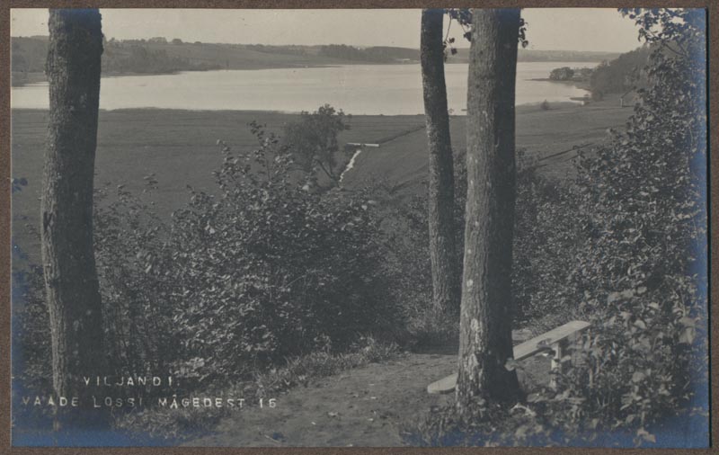 foto albumis, Viljandi, lossimäed, järv Kaevumäelt (?), u 1910, foto J. Riet