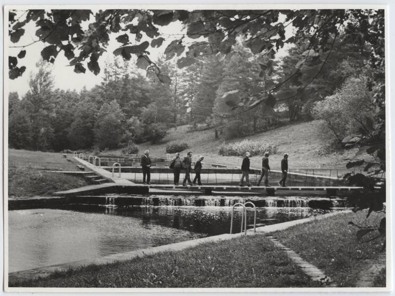 foto, Viljandi, Uueveski org, tagumised basseinid, u 1975