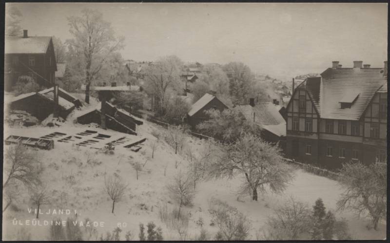 fotopostkaart, Viljandi, Pikk tn 33, G. Rosenberg'i maja, kasvuhooned (Tarik'u, hiljem Kontus'e ja siis Asu aiand), linna majad, u 1915, talv, foto J. Riet
