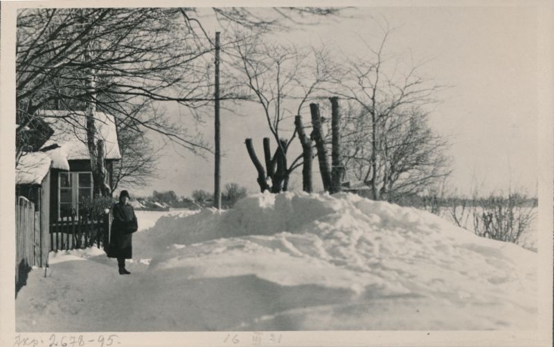 Foto. Dampfi album. Lumehangedes Õhtu-Kalda tänava vaade maja nr. 3 juures. 16. III 1931.