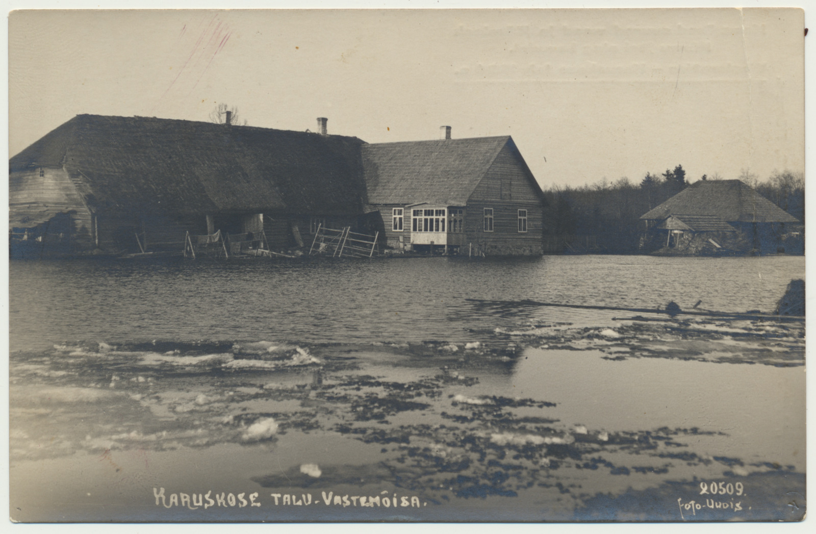 foto, Viljandimaa, Sandra küla, Karuskose talu, üleujutus, u 1924
