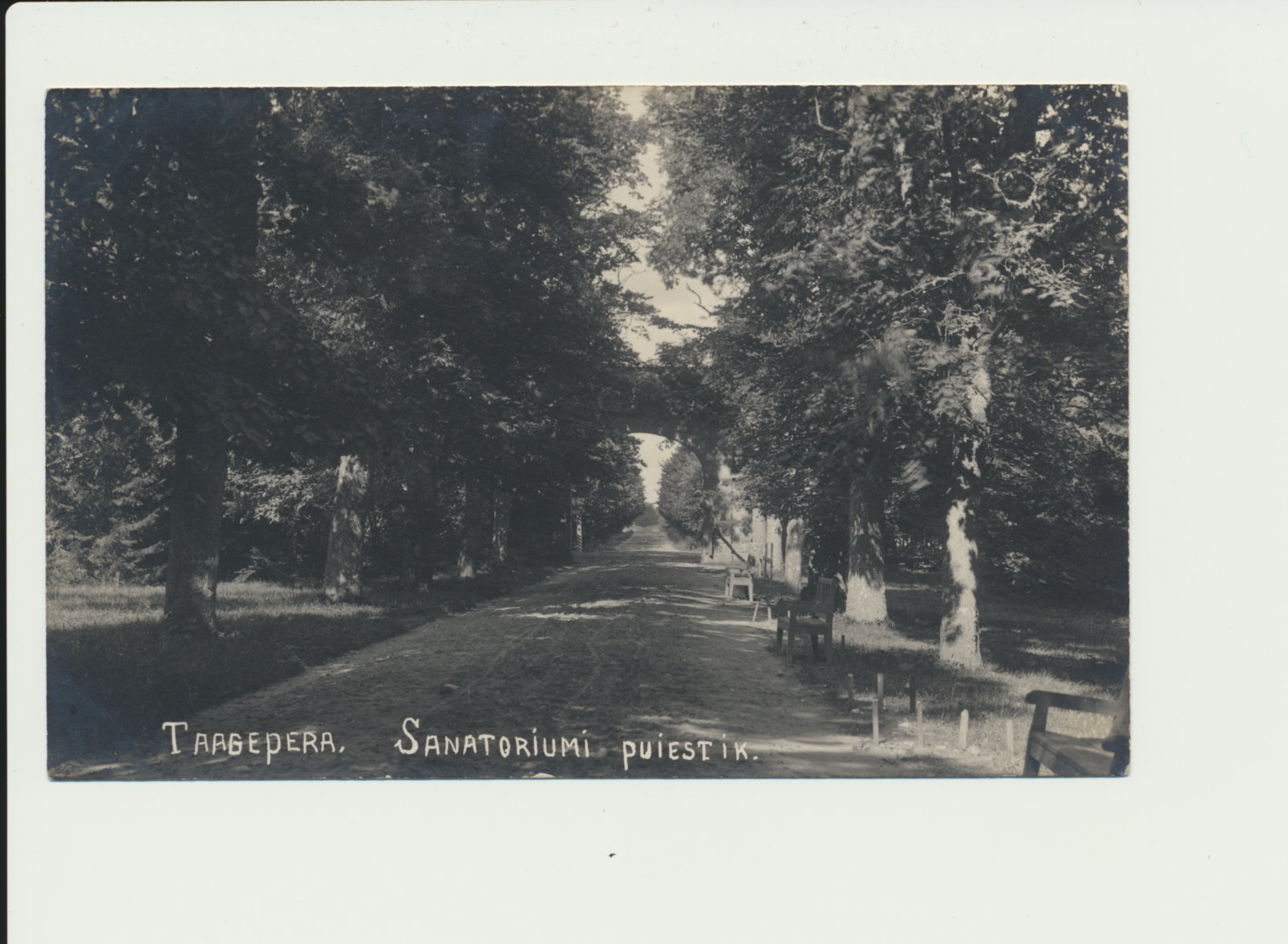 foto, Valgamaa, Taagepera sanatoorium, puiestee, u 1930