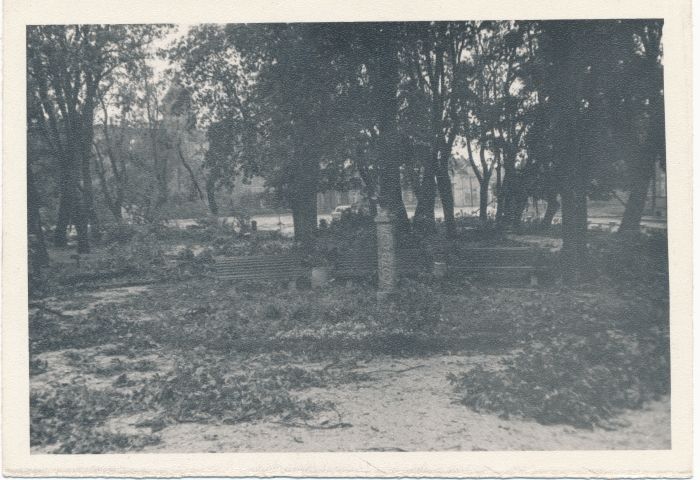 Foto. Vaade Haapsalu Koduloomuuseumi esisele pargile õhtul möllanud 12-pallise tormi ajal. 6. aug. 1967. Fotogr. R. Kalk.