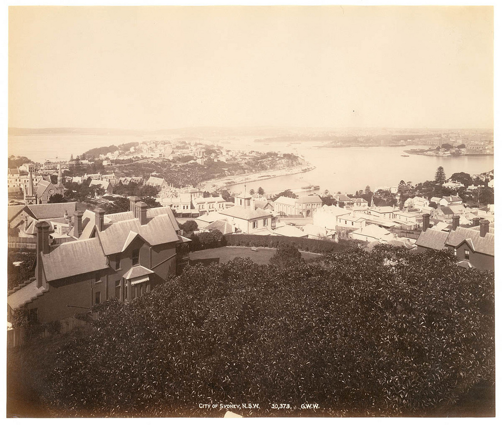 City of Sydney, N.S.W. From Fred Hardie - Photographs of Sydney, Newcastle, New South Wales and Aboriginals for George Washington Wilson & Co., 1892-1893