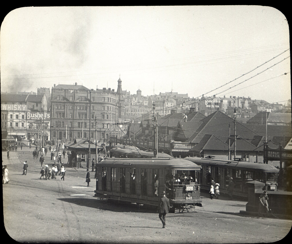 Trams at Circular Quay