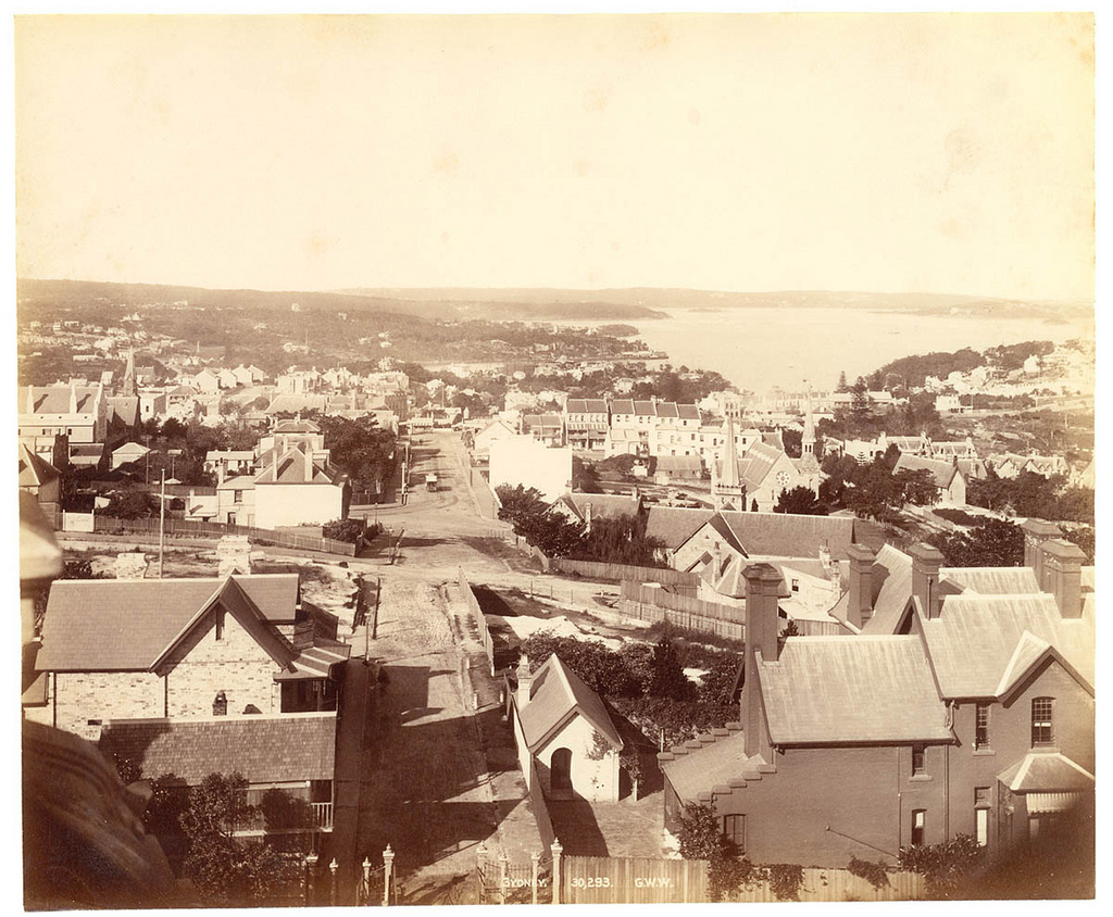 Sydney from Fred Hardie - Photographs of Sydney, Newcastle, New South Wales and Aboriginals for George Washington Wilson & Co., 1892-1893