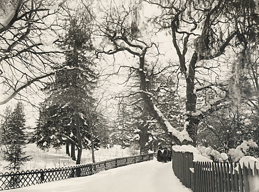 Winter at Djurgården, Stockholm, Sweden