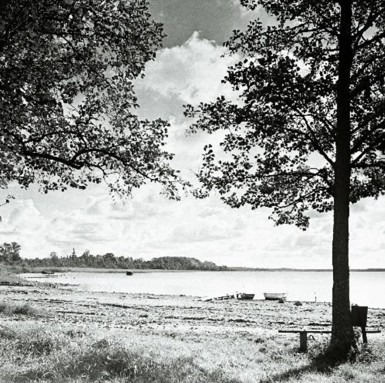View of Lake Kuremaa 1967