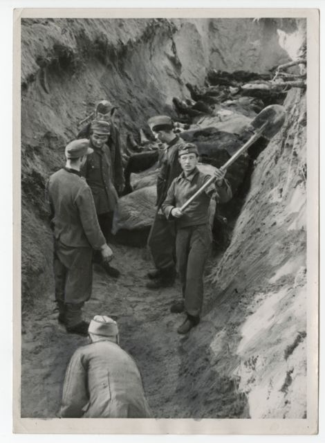 Saksa sõjavangid Klooga koonduslaagri ohvreid ühishauda matmas