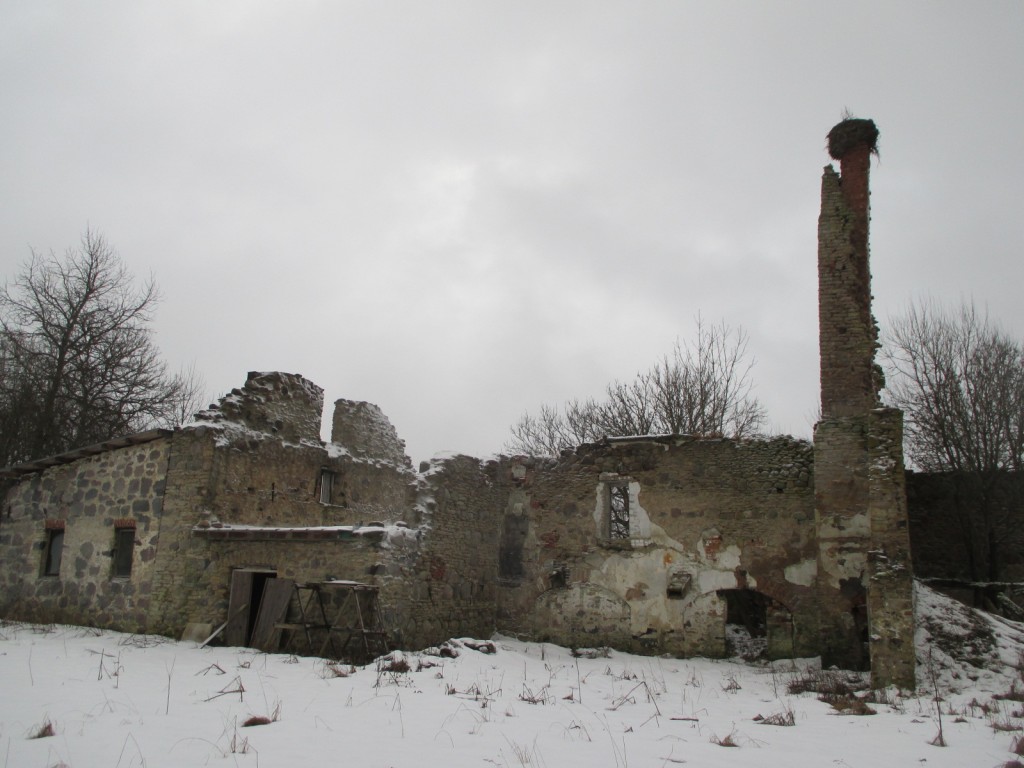 Ruins of the Rabivere Manor winery