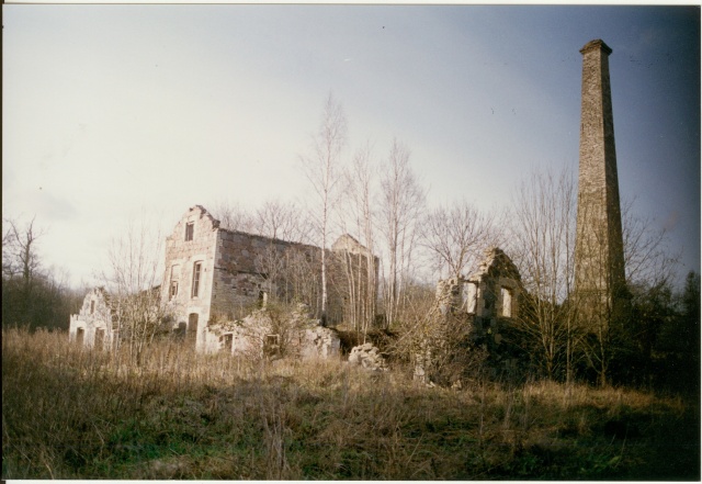 värvifoto Esna mõisa viinavabriku varemed 1995
