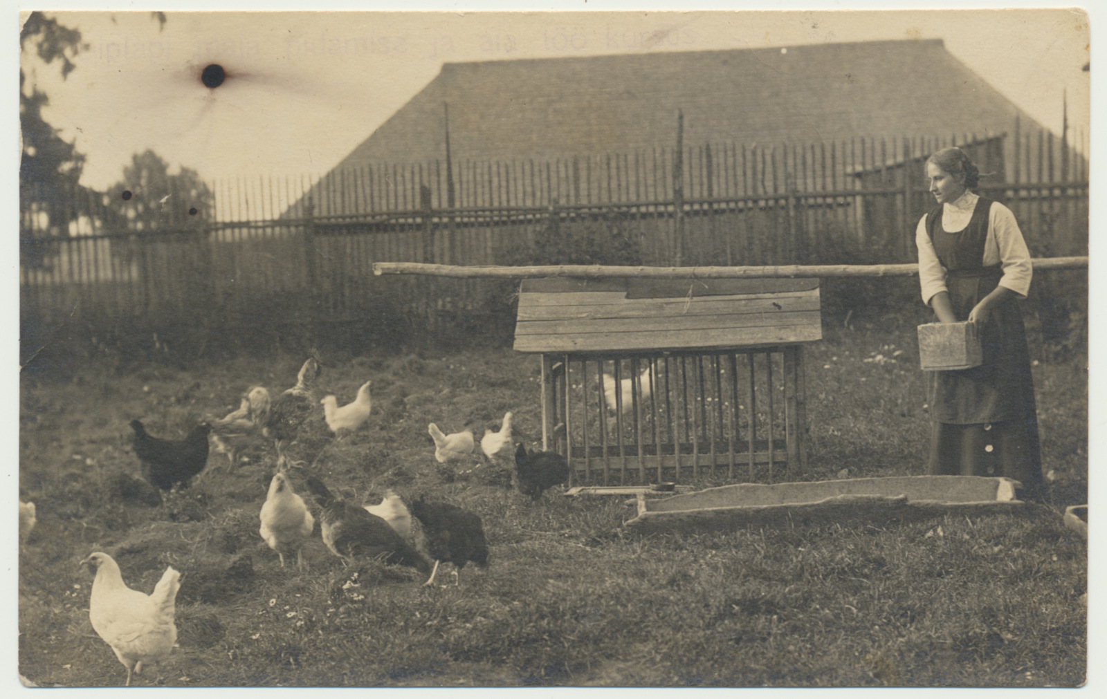 foto, Halliste khk, Liplapi kodumajanduse kool, kanade söötmine, u 1917