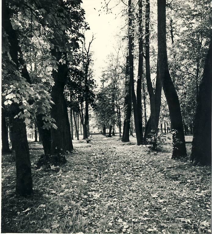 Roela park