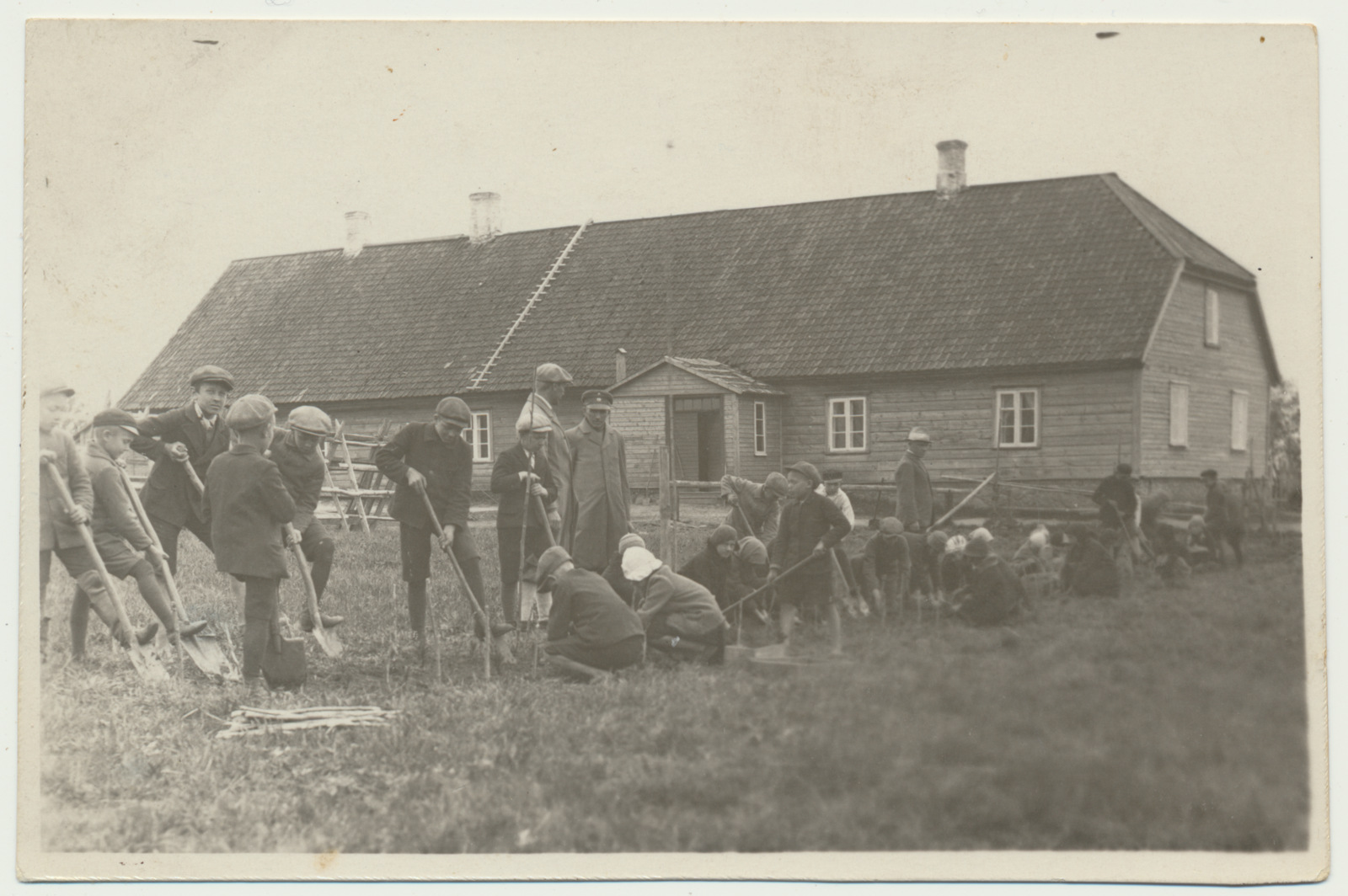 foto, Viljandimaa, Kutsari kool, heki istutamine, u 1920