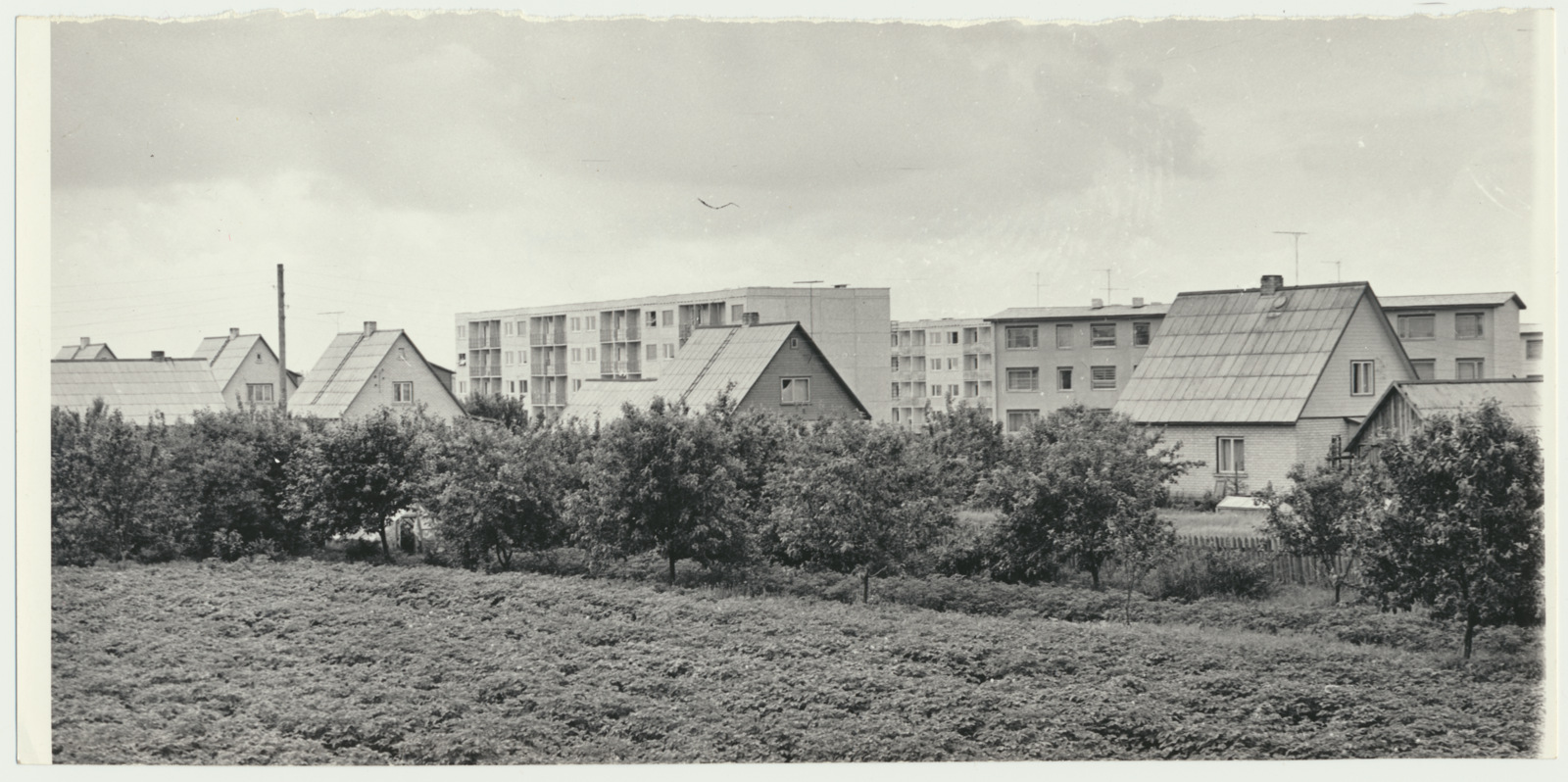 foto Viljandimaa, Viiratsi asula 1975 foto E.Veliste