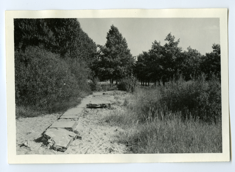 1944. aastal põlenud Pelguranna (Stroomi) kohviku vundament