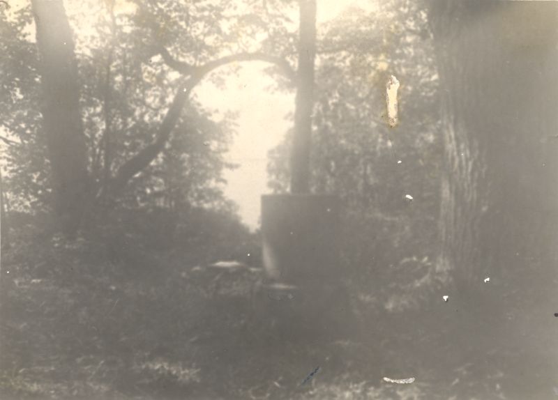 Foto. Fr. Schilleri monument Puhtulaiul pargipuude keskel, suvi 1930