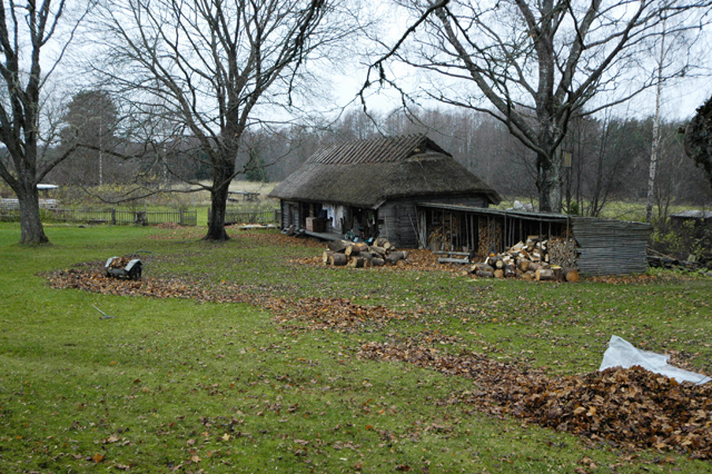 Vaade Toomarahva talu õuele Altja külas Haljala khk.