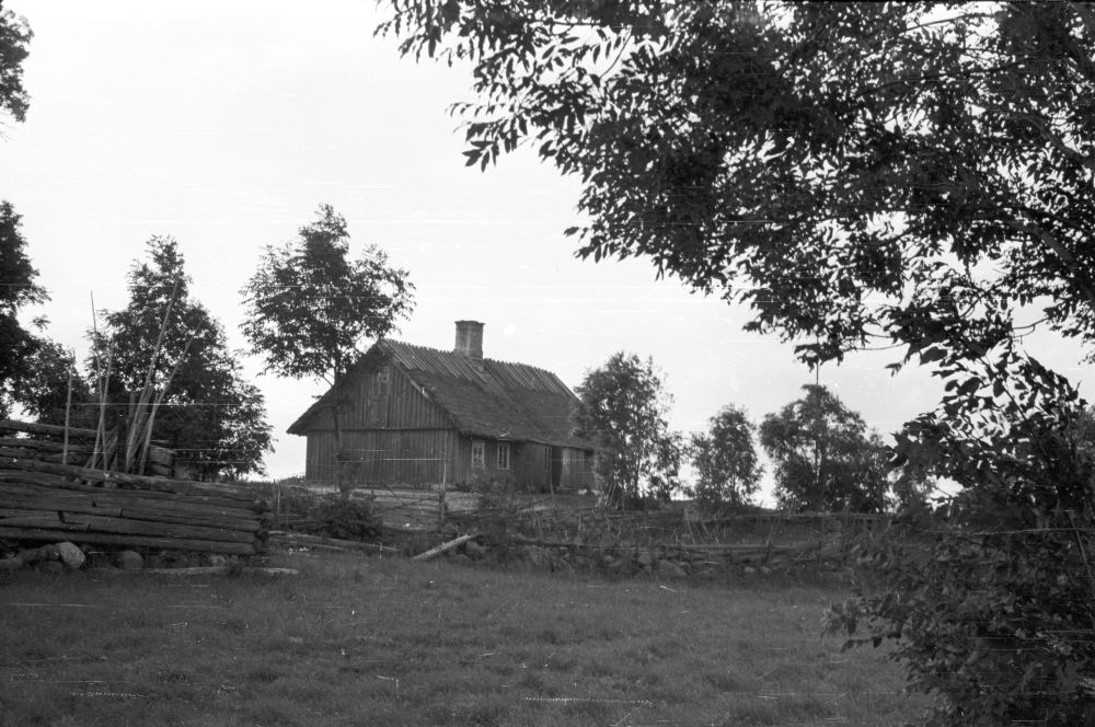 Elumaja Saarnaki laiul