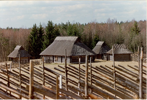 värvifoto, Vargamäe 1993.a.