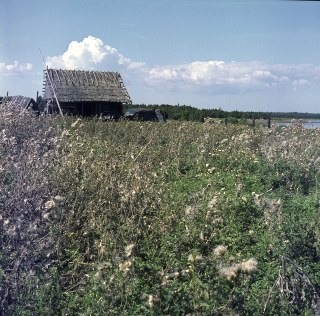 Hiiumaa. Kassari.