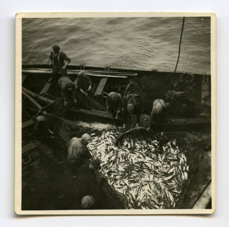 Aurulaeva "Eestirand" püügipaatide mehed hakkavad kala laevale tõstma