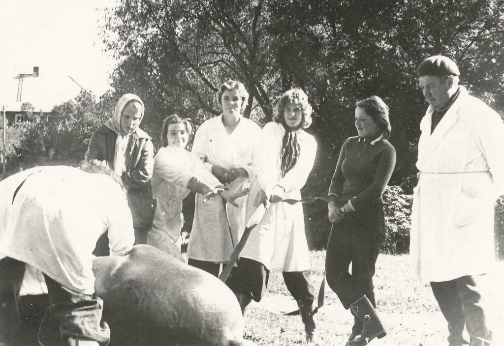 Foto. Klaassen, Endel - Väimela Näidissovhoostehnikumi õpetaja kirurgia praktikumis 1976.a.
