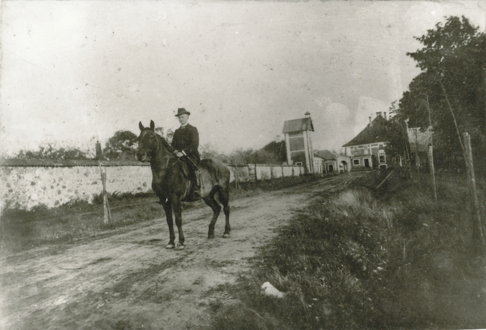 Foto. Vaade Väimela mõisa ühele sissesõiduteele enne 1910.aastat. Hobusel Väimela mõisa valitseja abiline Ludvig Arras.