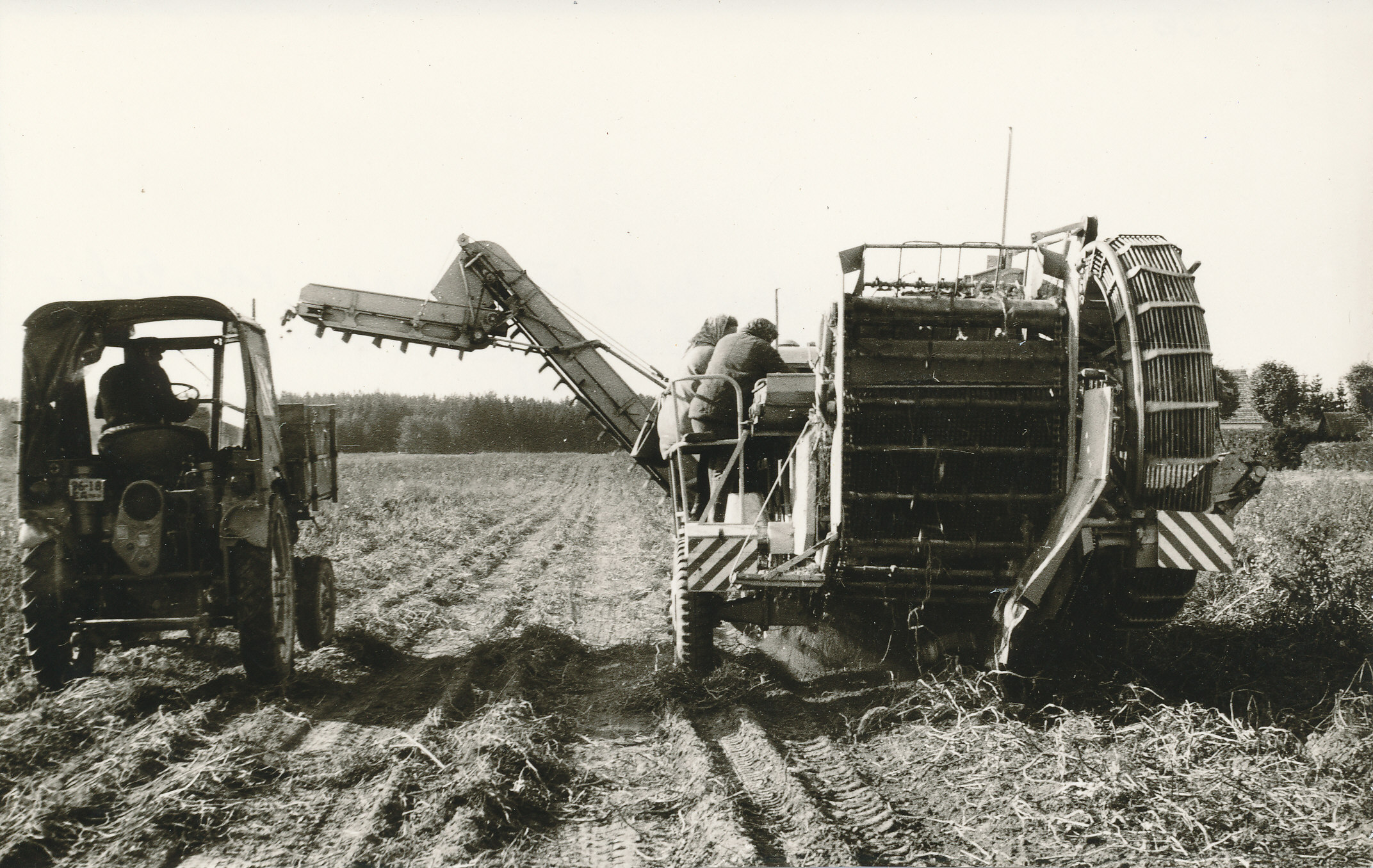 Foto. Kartulikoristamine kartulikombainiga Väimela NST-s 1972.aasta oktoobris.