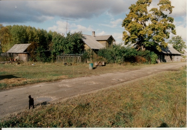 värvifoto Kareda küla vaade