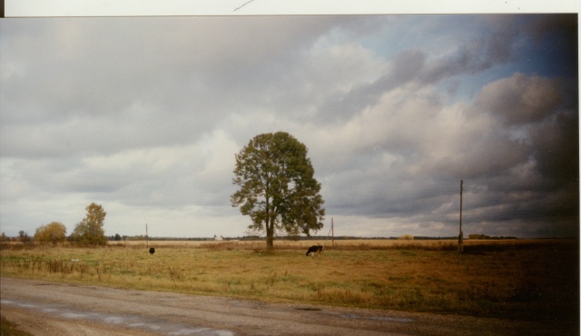 värvifoto Kareda küla vaade