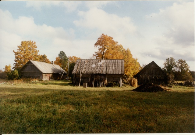 värvifoto Kareda küla vaade