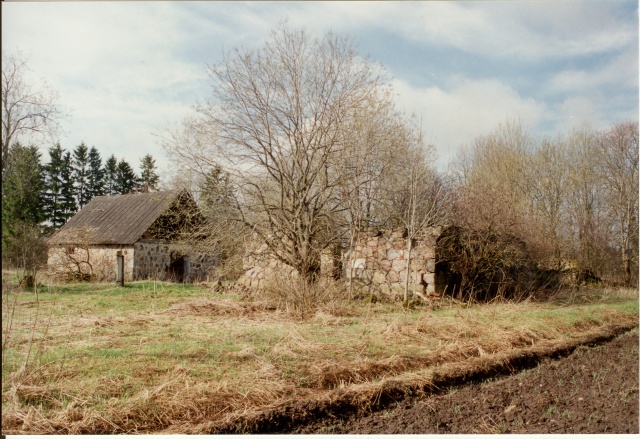 värvifoto Kareda küla vaade, Kääri talu hoonete varemed 1997