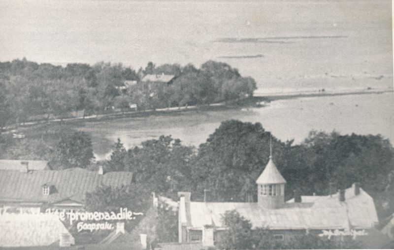 Foto. Vaade Vaiksele Promenaadile ülalt kesklinna poolt. XIX-XX saj. vahetusel.