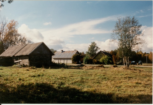 värvifoto Kareda küla vaade