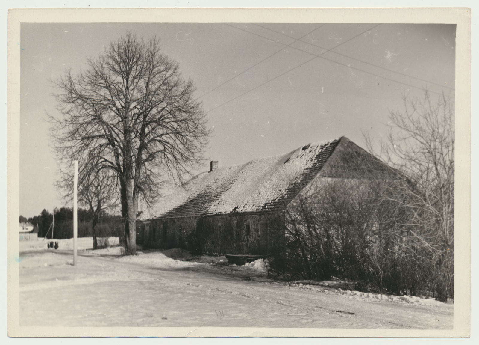 foto, Viljandimaa, Pahuvere endine koolimaja, J Semperi ja A. Saare kodu, 1964, foto A. Kiisla