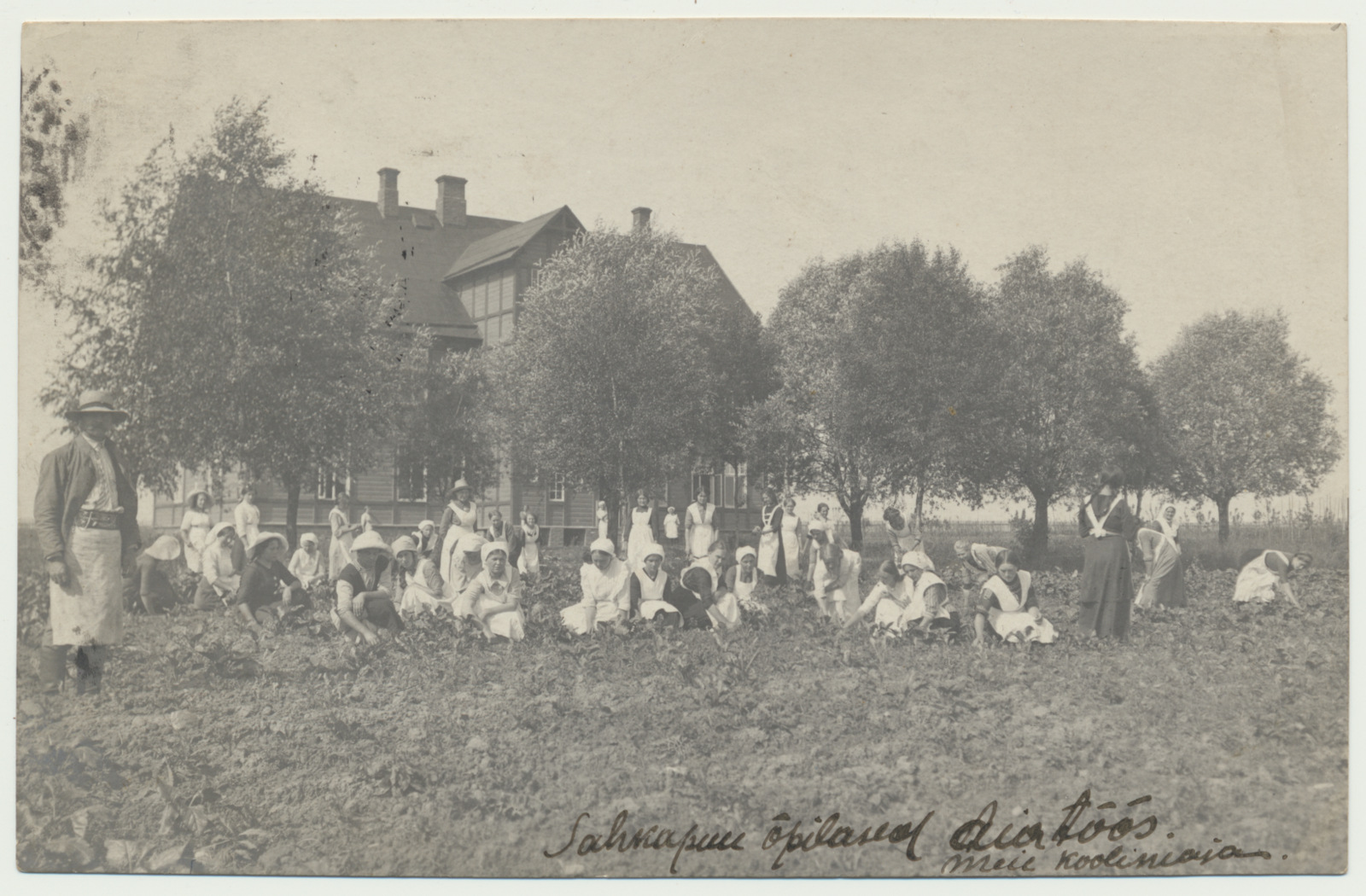 foto, Tartumaa, Sahkapuu põllutöö ja majapidamiskool, koolimaja, neiud aiatööl, u 1915