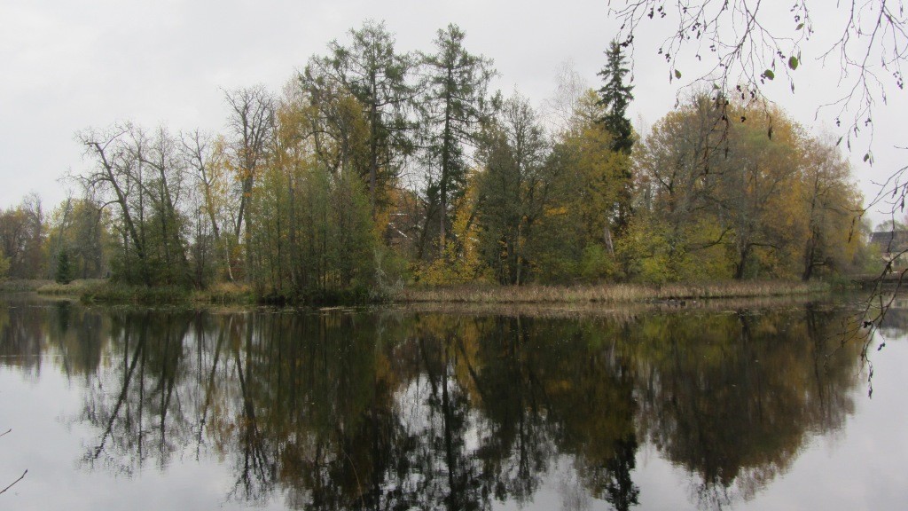 Antsla Vasallinn culture layer