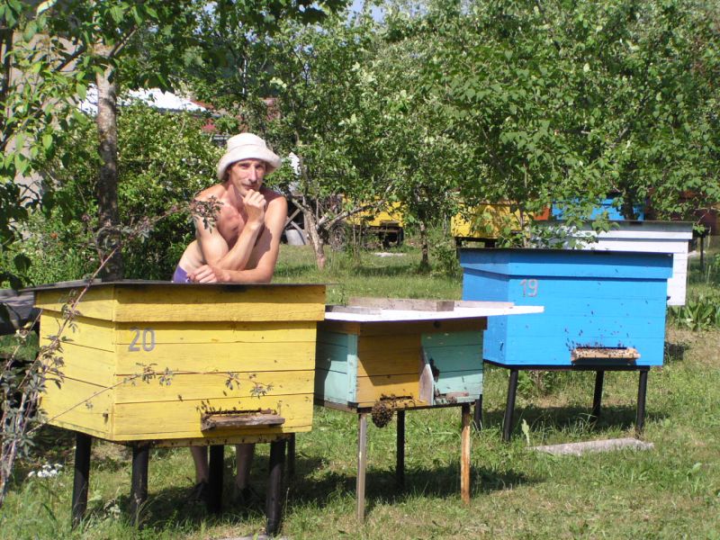 Ülo Lippa oma mesilas Aegviidus.