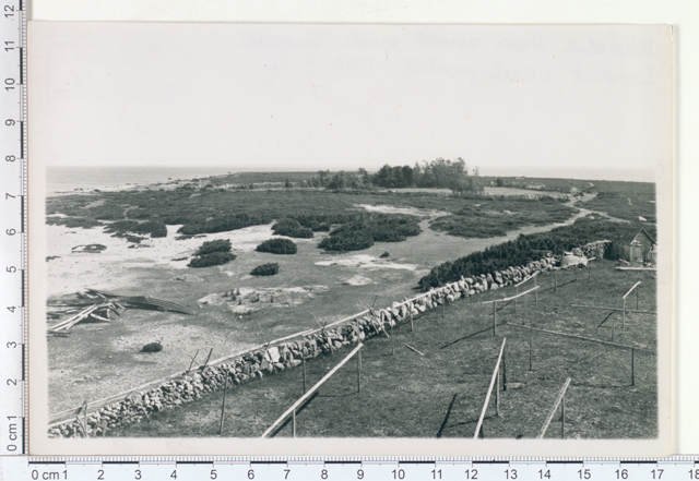 Maastik Aksi saare kirderannal, vaatepostilt loodest, 1922