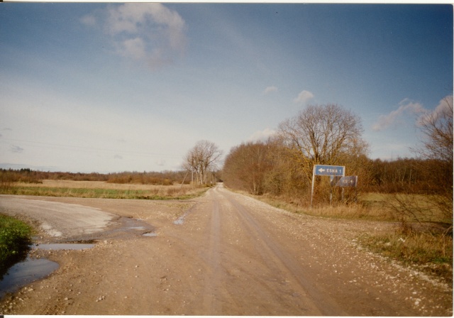 värvifoto Esna mõisa viiv tee 1995